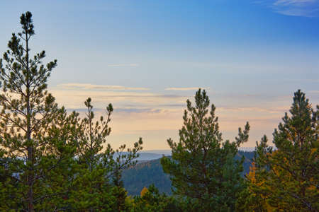 the mountain autumn landscape with colorful forestの写真素材