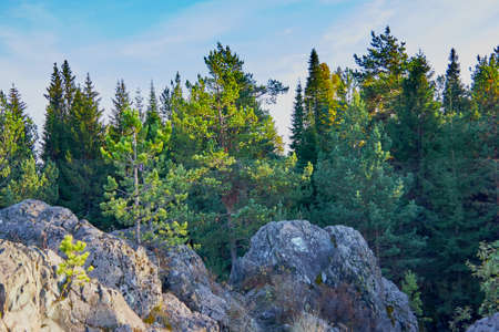 the mountain autumn landscape with colorful forestの写真素材