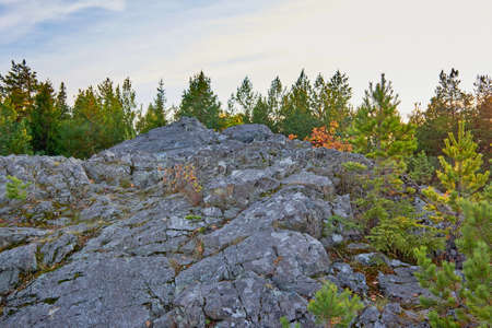 the mountain autumn landscape with colorful forestの写真素材