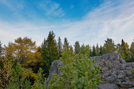 the mountain autumn landscape with colorful forestの写真素材