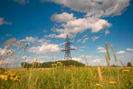 Stacks of straw - bales of hay, rolled into stacks left after harvesting of wheat ears, agricultural farm field with gathered crops rural.の写真素材