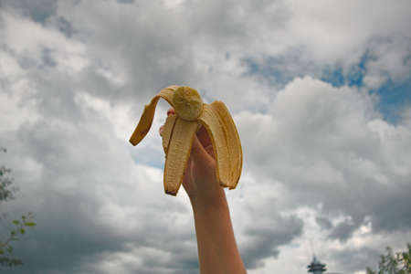 Female hand with red nails holding a bananaの写真素材