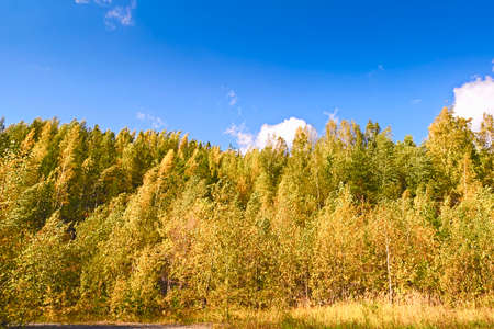 Autumn landscape in the mountains