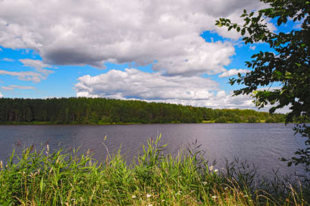 Landscape with beautiful pond in the summerの写真素材