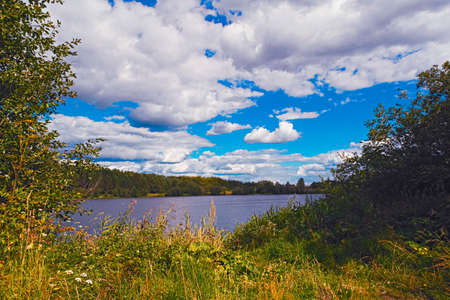 Landscape with beautiful pond in the summer