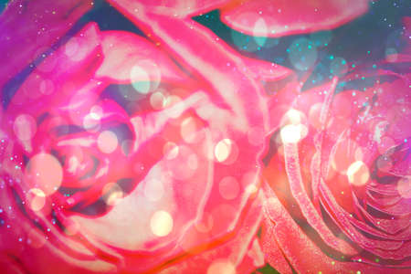 Red roses bokeh backgroundの写真素材