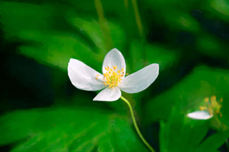 White flowers on a blurry green background-the photo of artwork in oil painting imitation style.