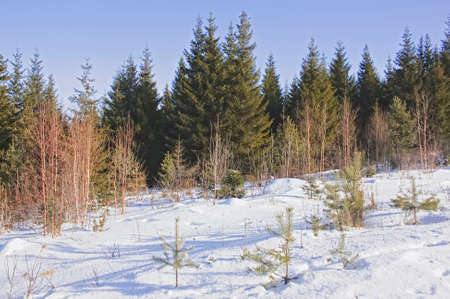 Winter sunny dayの写真素材