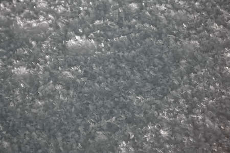 Snow texture close-up for the backgroundの写真素材