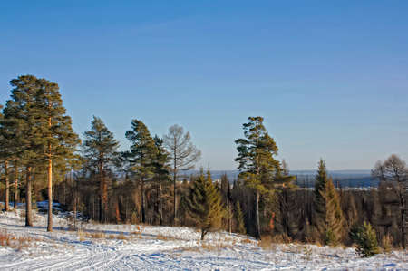 Winter sunny day
