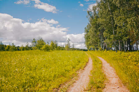Beautiful summer landscapeの写真素材