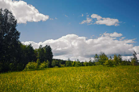 Beautiful summer landscapeの写真素材