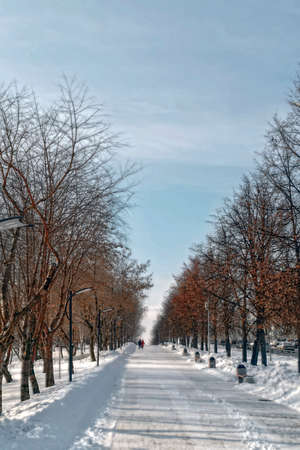 Winter city landscape in the parkの写真素材