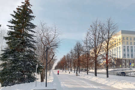 Winter city landscape in the parkの写真素材