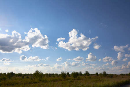 Summer countryside on a hot summer day in August