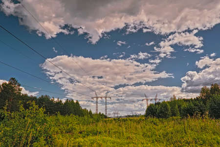 Power line passing through the forest on a sunny summer day