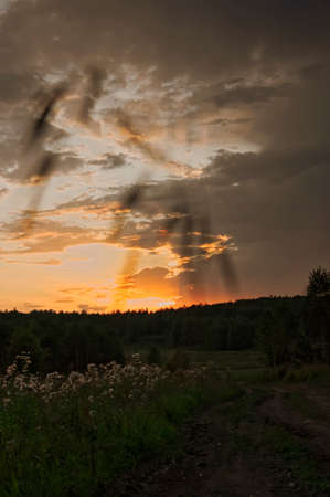 Sunset at the edge of the forestの写真素材