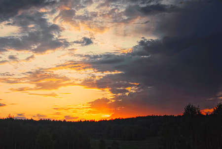 Sunset at the edge of the forestの写真素材