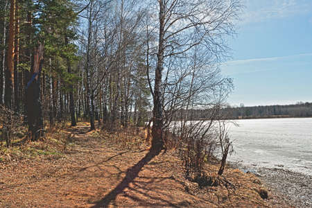 The ice on the forest lake melts the spring landscapeの写真素材