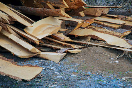 The texture of a wooden cut board with bark, which is chaoticly slipperyの写真素材