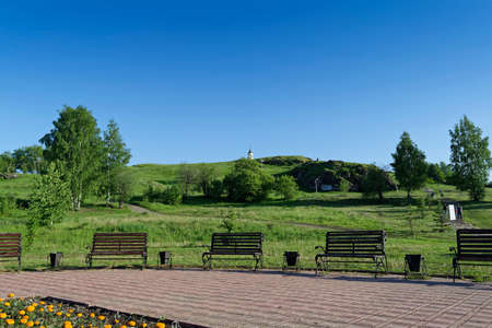Summer scene in the park on a sunny fine day