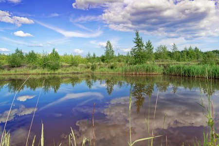 Summer landscape at the lake with reflection of clouds in the waterの写真素材