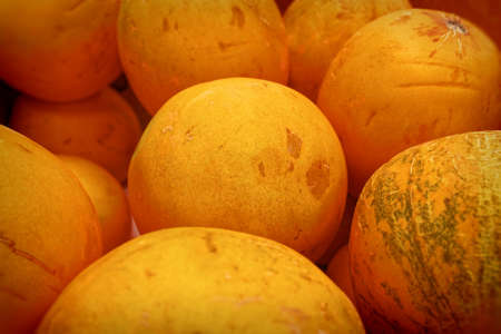 Fresh juicy melons lying on a counter in the grocery storeの写真素材