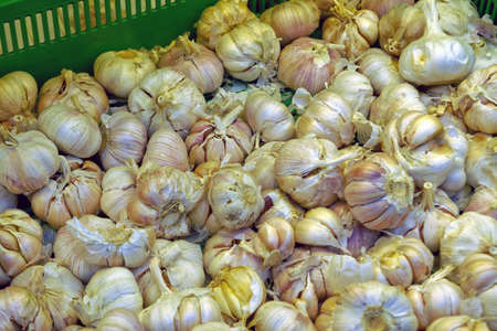 Garlic on the counter of the vegetable market. Close-up and top view of fresh vegetables