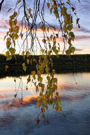 Autumn landscape sunset in the forest by the lakeの写真素材