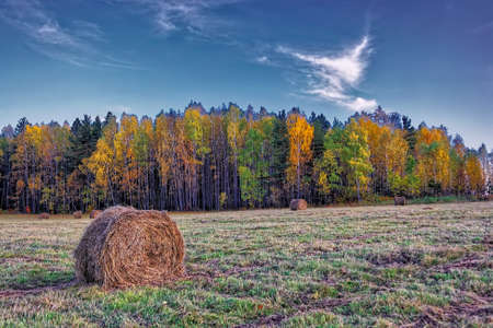 Beautiful autumn forest with colorful trees and pacturesque sky reflected in the water. Autumn nature landscape.の写真素材
