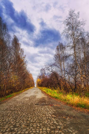 Autumn landscape against a cloudy sky before the rainの写真素材