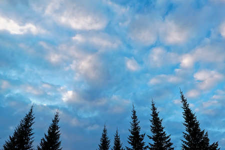 feathery clouds in the blue sky are illuminated by the rays of the sun, setting over the horizonの写真素材