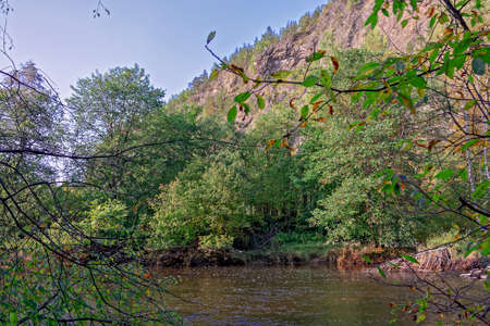Autumn landscape with multi-colored leaves of trees
