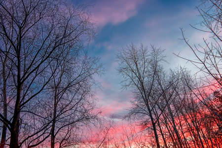 Clouds in the sky are illuminated by the rays of the sun, setting over the horizonの写真素材