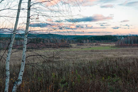 Autumn landscape with dried grass in the meadow on the background of forest and sunset skyの写真素材