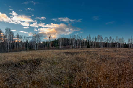 Autumn landscape with dried grass in the meadow on the background of forest and sunset sky with...