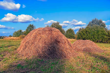 Rural landscape with haystacks in a summer sunny day. Rural landscape with clouds in the blue sky.の写真素材