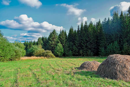 Rural landscape with haystacks in a summer sunny day. Rural landscape with clouds in the blue sky.の写真素材