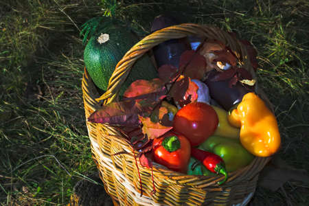 Basket with fresh vegetables background of nature close-upの写真素材