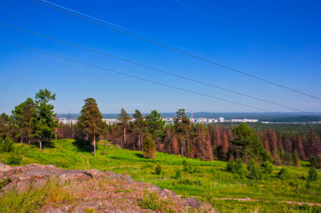Summer landscape view of the forest and mountain range from the top of the mountain on a warm sunny day.の写真素材