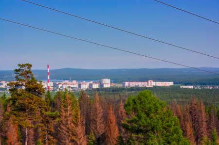 Summer landscape view of the forest and mountain range from the top of the mountain on a warm sunny day.の写真素材