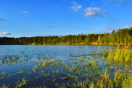 Summer landscape trees reflected in the mirror of the river lit by sunset rays of the sun.の写真素材
