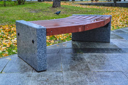 Autumn park bench, rainy texture background. Rain in autumn park, drops of water.の写真素材
