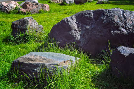 Landscaped summer garden.Garden of stones on the green lawn in the park.の写真素材