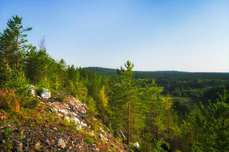 Summer landscape view of the mountains covered with forest against the blue sky.