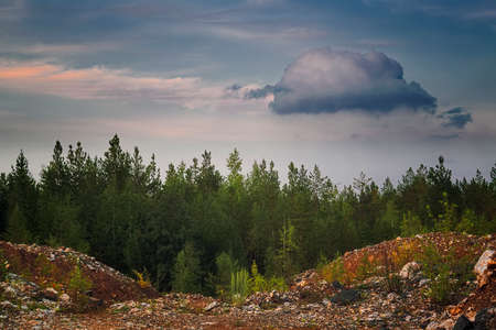 Beautiful idyllic picturesque early autumn scenery landscape of park outdoor nature environment.の写真素材