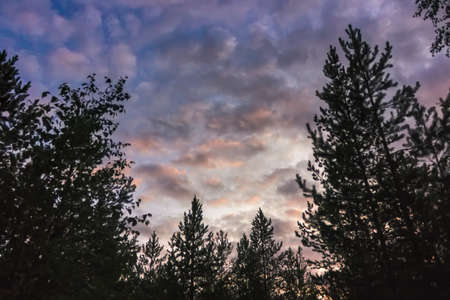 Cumulus sunset clouds with sun setting down. The sky with dark clouds illuminated by the setting sun.の写真素材