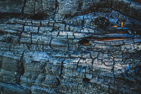 Close up view of wood charcoal background. Texture of charred wood.の写真素材