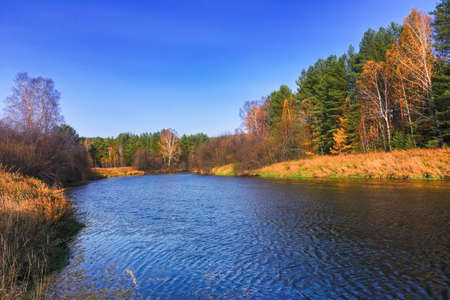 Autumn rural landscape. Yellowed grass in the meadow against the background of the forest and blue sky with clouds.の写真素材