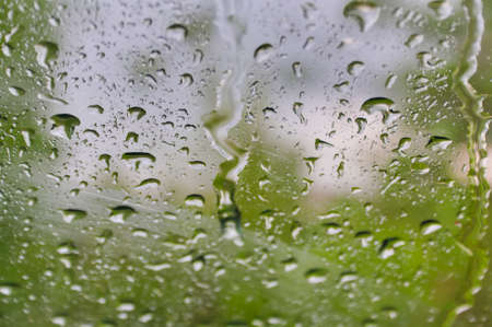Natural water drops on window glass with nature background.の写真素材